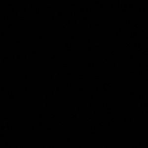 Meet your Posher, Esther